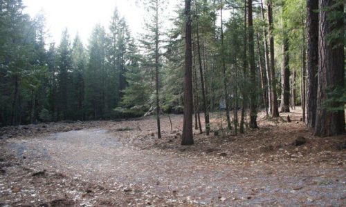 8450 MIDNIGHT LN SHINGLETOWN, CA 96088
