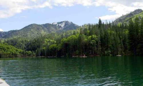 Lake Shasta Cabin