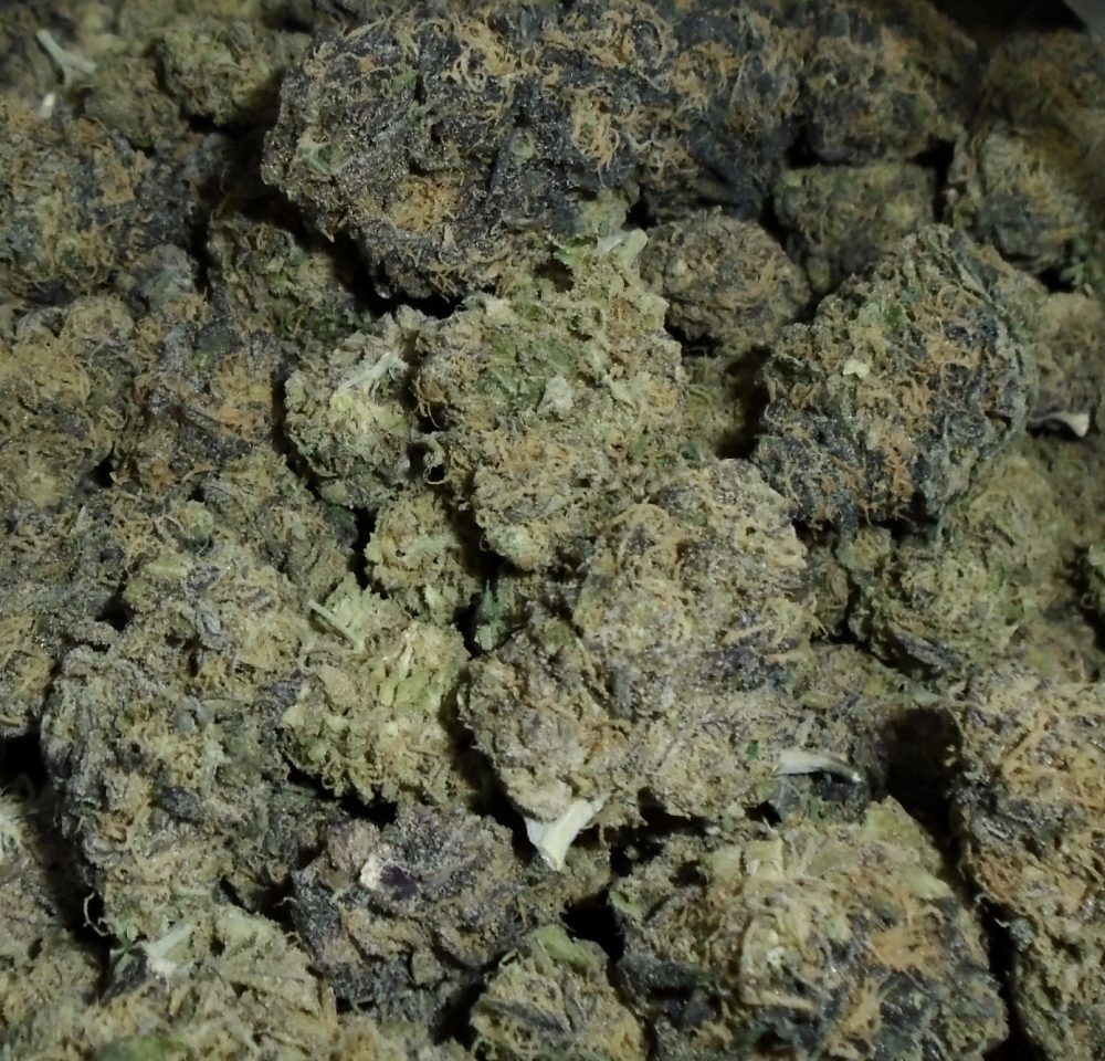 Purple Platinum Cookies Indoor Cannabis Redding 420 Delivery