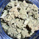 Blackberry Kush Indoor Indica