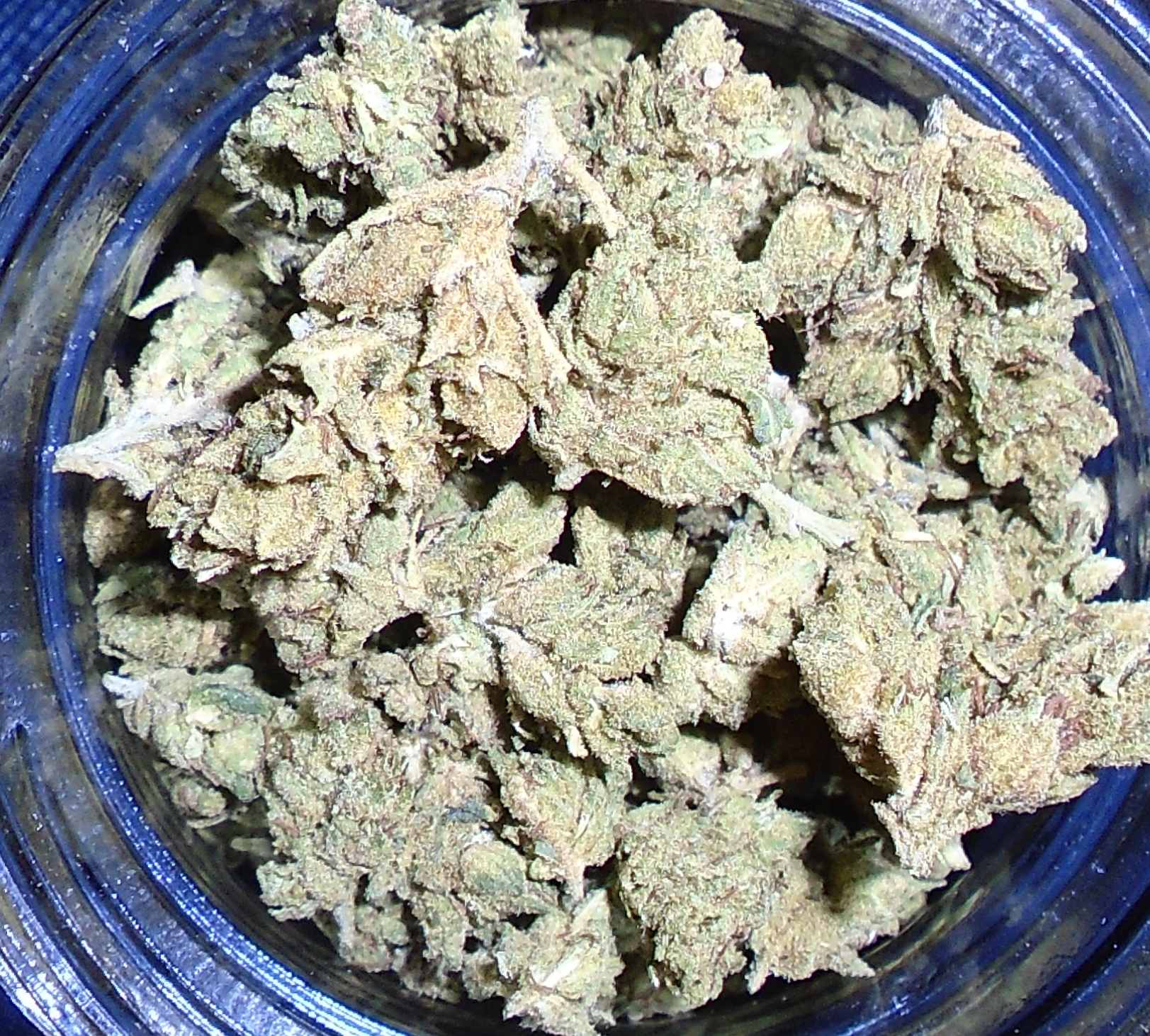 Blackberry Kush Indoor Indica