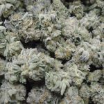 Mendo Punch Indoor Cannabis Redding 420 Marijuana Delivery