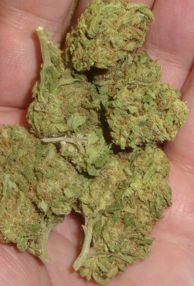 Afghooey Light Dep Marijuana Redding 420 Cannabis delivery